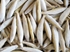 Picture of Smelt frozen (Fish Size 13-16 cm ) 10kg*box (loose) / Price kg